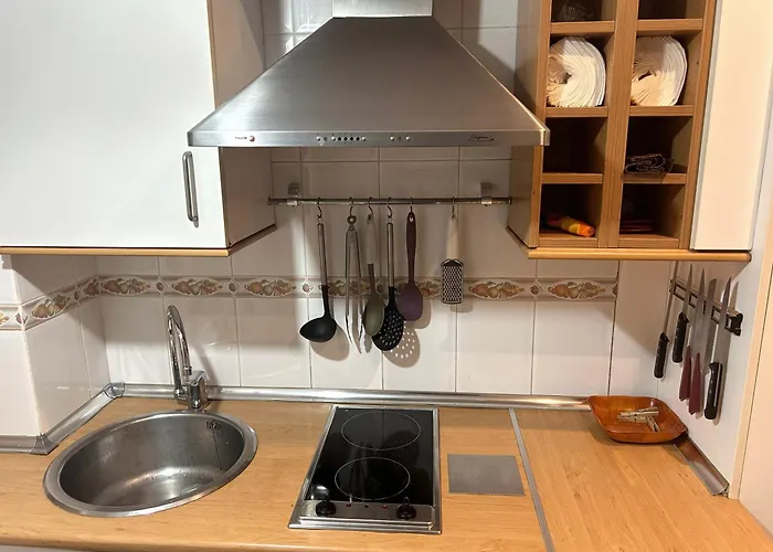 Frente Al Guggenheim. Urbanizacion De Lujo En El Centro Μπιλμπάο